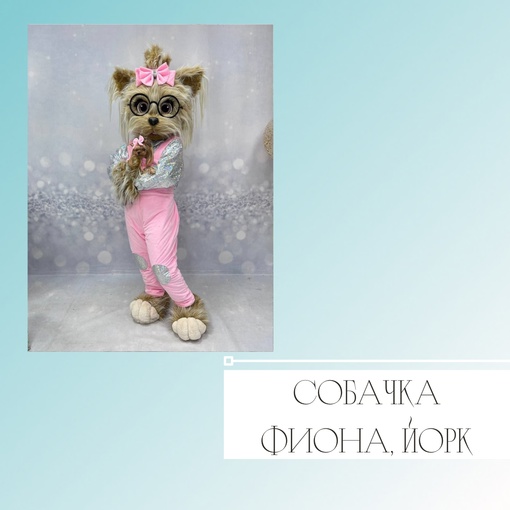 Собачка Фиона, Йорк