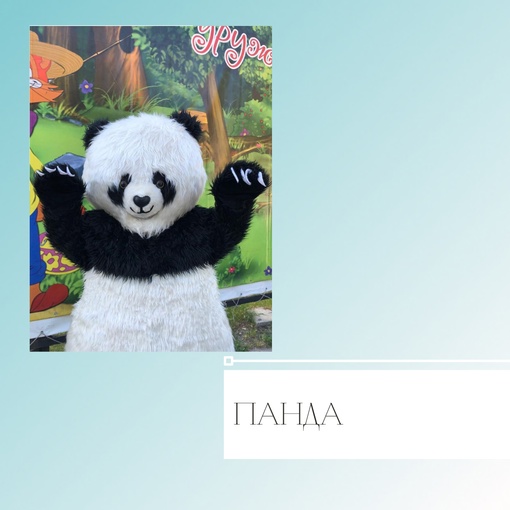 Панда