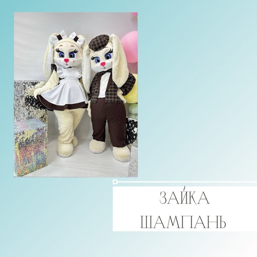 Зайка Шампань